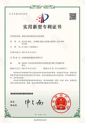 zizhi5